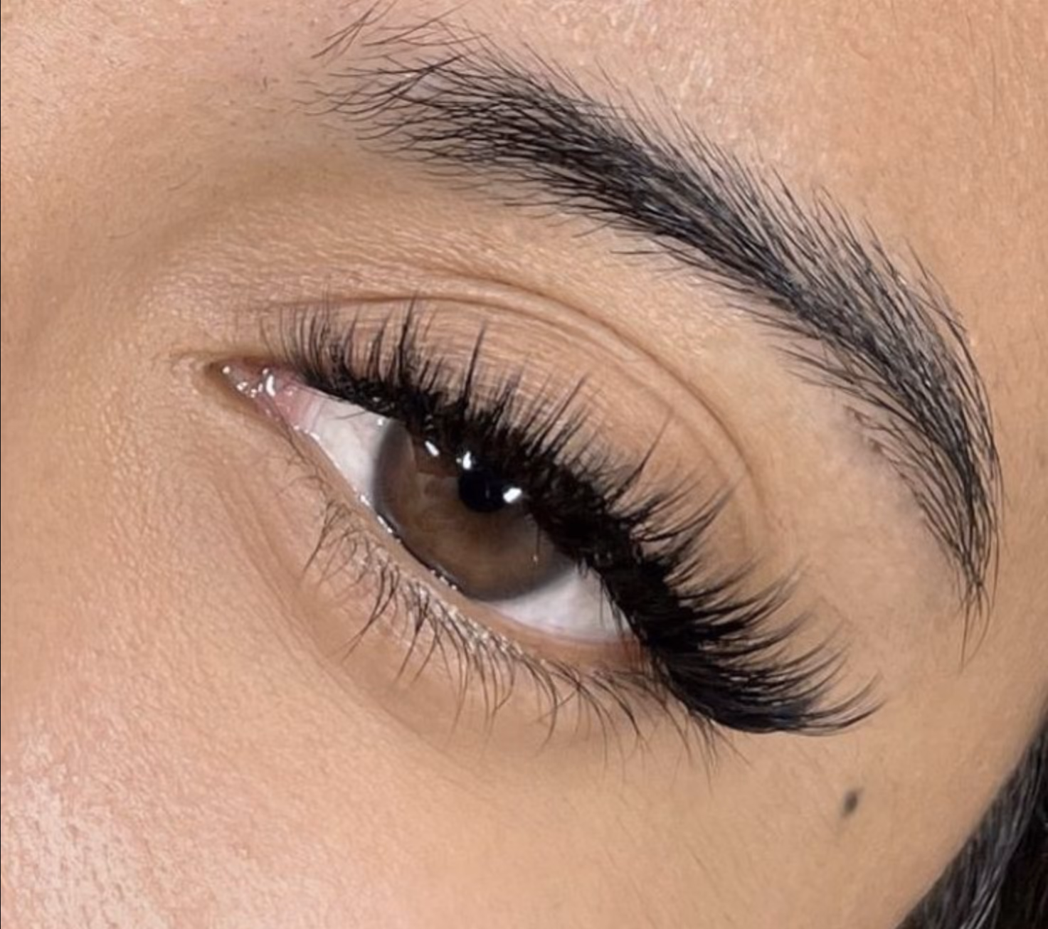 Wispy Hybrid Set
